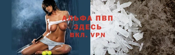 сатива Арсеньев